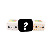 Cute Sushi Squishy Mystery Box